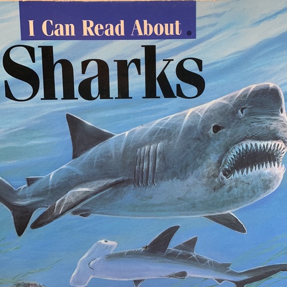 Bring back the bees science resource - Picture 9 of 12